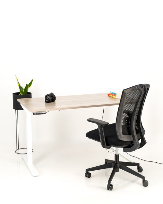 Hi-Lo Height Adjustable Desk